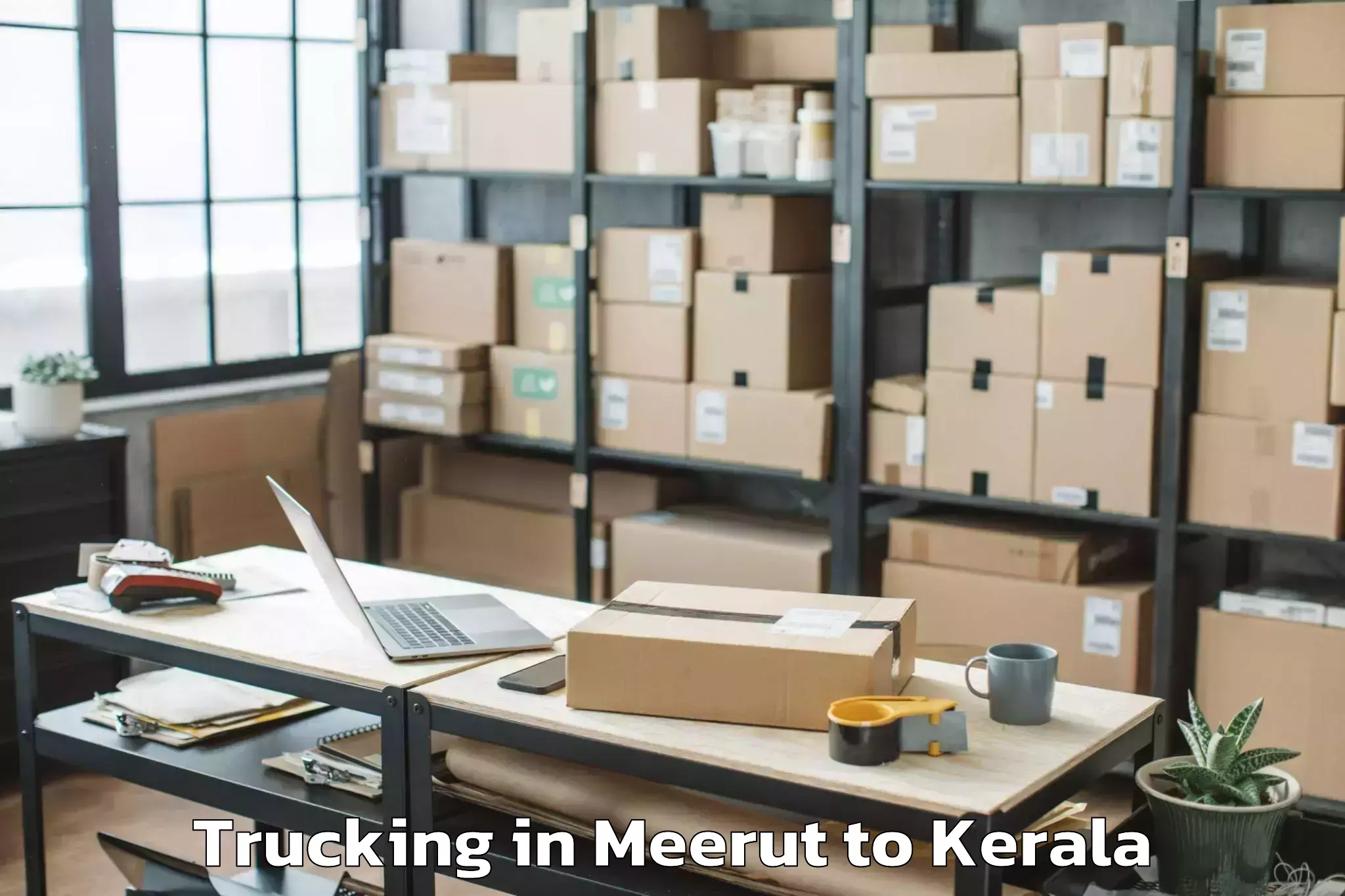 Professional Meerut to Cheruthuruthi Trucking